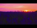 Download Lagu VXLLAIN, iGRES, ENXK - Crystal Skies (Piano Version)