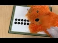 Primrose Math Lesson for Pathways with Ms Karina - Counting in English