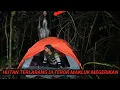 Lagu CEMPING SOLO~AKIBAT NEKAT DI HUTAN TERLARANG DI TEROR MAHLUK MUKA MEGERIKAN