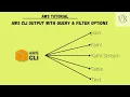AWS Tutorial How to Filtering AWS CLI output or Controlling AWS CLI Output