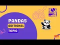 Additional topics of Pandas Clean Code Documentation Vectorization Magic