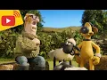 Download Lagu 🔴 LIVE - Shaun the Sheep | Farm TV | Shaun The Sheep 🐑 Cartoons for kids, Preschool, New Stream