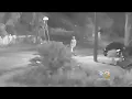Tampa Police Searching For Possible Serial Killer