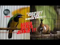 Download Lagu MASTERAN VIRAL 🔴 CUCAK CUNGKOK VS CILILIN ❗️DURASI 5 MENIT AUDIO SUPER JERNIH ❗️#kicaumania