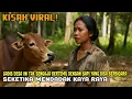 Lagu VIRAL! GADIS DESA TAK SENGAJA BERTEMU DENGAN SAPI YANG BISA BERBICARA SEKETIKA MENDADAK KAYA RAYA