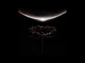 Muse - The Dark Forest (leaked snippet)