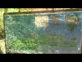 Download Lagu Baby human fish - Proteus anguinus in the cave Baredine, Porec Croatia