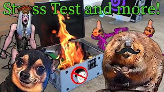 Project Everlook News - Stress Test AND More