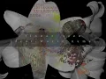 flower／ zzen （feat.World name） 歌詞動画