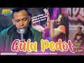 Download Lagu GULU PEDOT Jandhut ROGO MUSIC Voc. Lerry \u0026 Diah | Pelangi Audio 