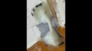 13 Sep 2025 Same as yesterday, but better done.