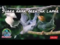 Download Lagu Suara Anak prenjak Lapar