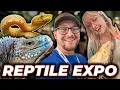 I VE NEVER SEEN THIS REPTILE BEFORE