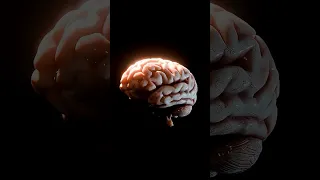 كيف أحفظ بسرعة وسهولة دون أن أنسى 3 أسرار علمية للحفظ السريع 