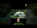 Download Lagu ∥ Al-Ikhlas + Al-Falaq + An-Nas ∥ Mahmoud Khalil Al Hussary