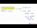 A sex gland which contributes fluid containing sugar fructose that provides spermatozoa