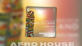 ajourneyofmilez z wild land eltonnick extended remix