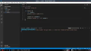 How to fix Cannot edit in read-only editor in VSCode when user prompt to input in Program