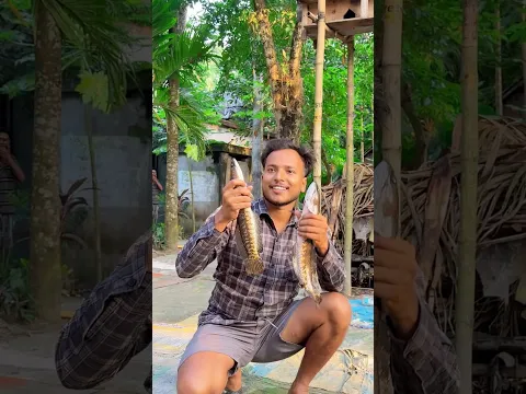 শোল মাছ না রুই মাছ