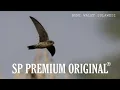 Download Lagu SP PREMIUM || SUARA PANGGIL WALET RESPON 2022 - ORIGINAL BWS