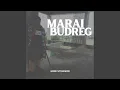 Download Lagu Marai Budreg (Acoustic)