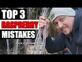 3 Raspberry Mistakes To Avoid - Garden Quickie Episode 111