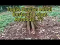 Lagu Banyak yang Melakukan Cara Ini | Setelah Tau Ilmunya