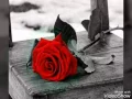 حبنه انتهى وراح 💞 من تصميمي