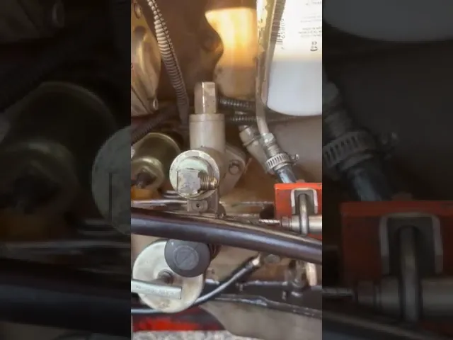 View Video