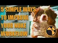 5 EASY Ways To Optimize Your Nuke Workflow