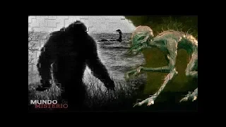 5 unsolved mysteries that have no explanation mystery world