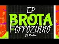 BAILE DO PANTA, FORROZINHO - DJ RAYLLAN - MC NEGO TRUFA - MC RD