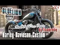 2025 Harley-Davidson STREET BOB Custom BLUE LION The Art of Pure Power A T Design