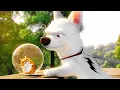 Download Lagu BOLT CLIP COMPILATION (2008) Disney