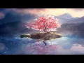 Anime Wallpaper PC Sakura Tree David Live Wallpapers 1080pFHR
