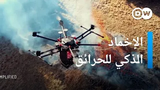 مكافحة حرائق الغابات بالذكاء الاصطناعي   كليك دندنها