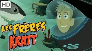 Les Frères Kratt Aventures En Haute Mer Vidéos Pour Enfants 