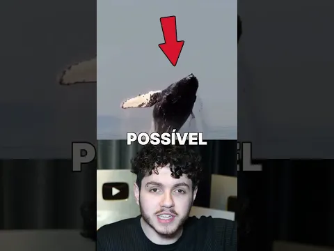 O PARASITA DAS BALEIAS!