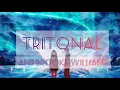 Tritonal & Brooke Williams - Someone to love you (lyrics)