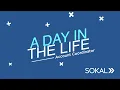 A Day in the Life of an Account Coordinator at Sokal