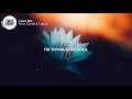 Felix Cartal & Lights - Love Me (Lyrics)