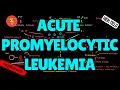 Acute Promyelocytic Leukemia APL EXPLAINED Pathogenesis DIC ATRA Treatment USMLE High-Yield