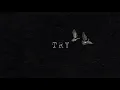 Micky - Try by P!nk (Official Version)