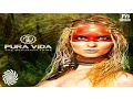 Download Lagu Pura Vida - Chupa Lala