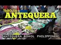 Lagu TABO SA ANTEQUERA / ANTEQUERA,BOHOL PHILIPPINES (HD)