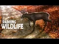 Download Lagu How to Paint Realistic Wildlife | Acrylic Painting