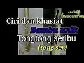 Lagu ciri utama bambu tong tong seribu (tong ser) serta manfaat dan kegunaannya