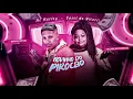 Download Lagu MC MARLEY E MC CAROL DA NITEROI - NOVINHO DO PIROCÃO - TU JA TEM 15 ANOS