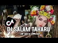DJ SALAM TAHAU (LAGU DAYAK) REMIX || DJ XPRO OFFICIAL