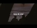 Virus - Luna de Miel en la Mano | Letra